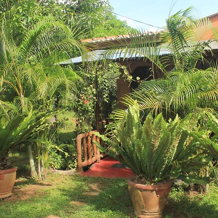 Sigiriya Nature View Home Stay Exterior photo