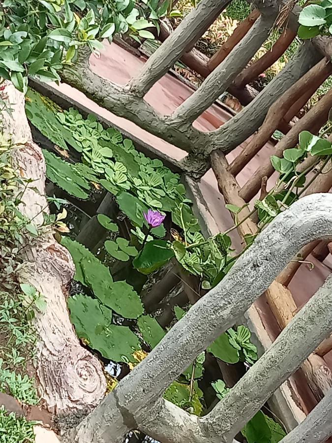 Sigiriya Nature View Home Stay Exterior photo
