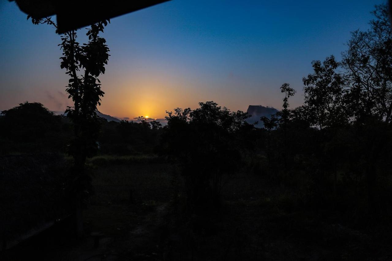 Sigiriya Nature View Home Stay Exterior photo