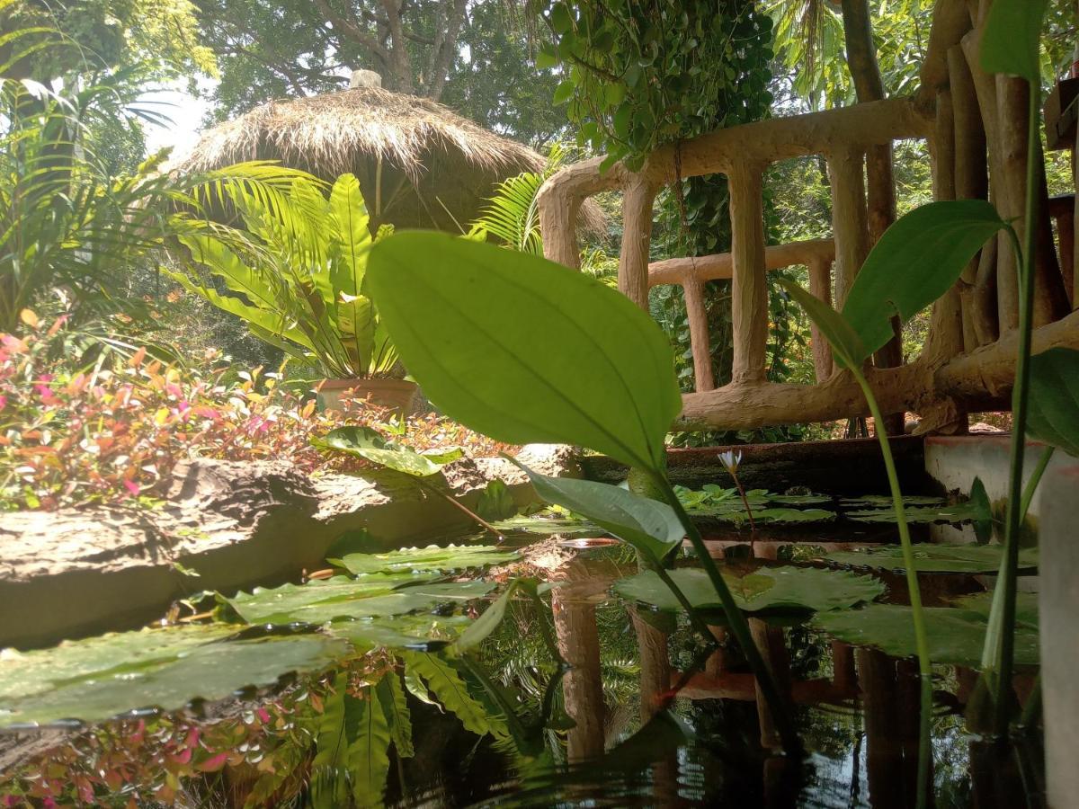 Sigiriya Nature View Home Stay Exterior photo