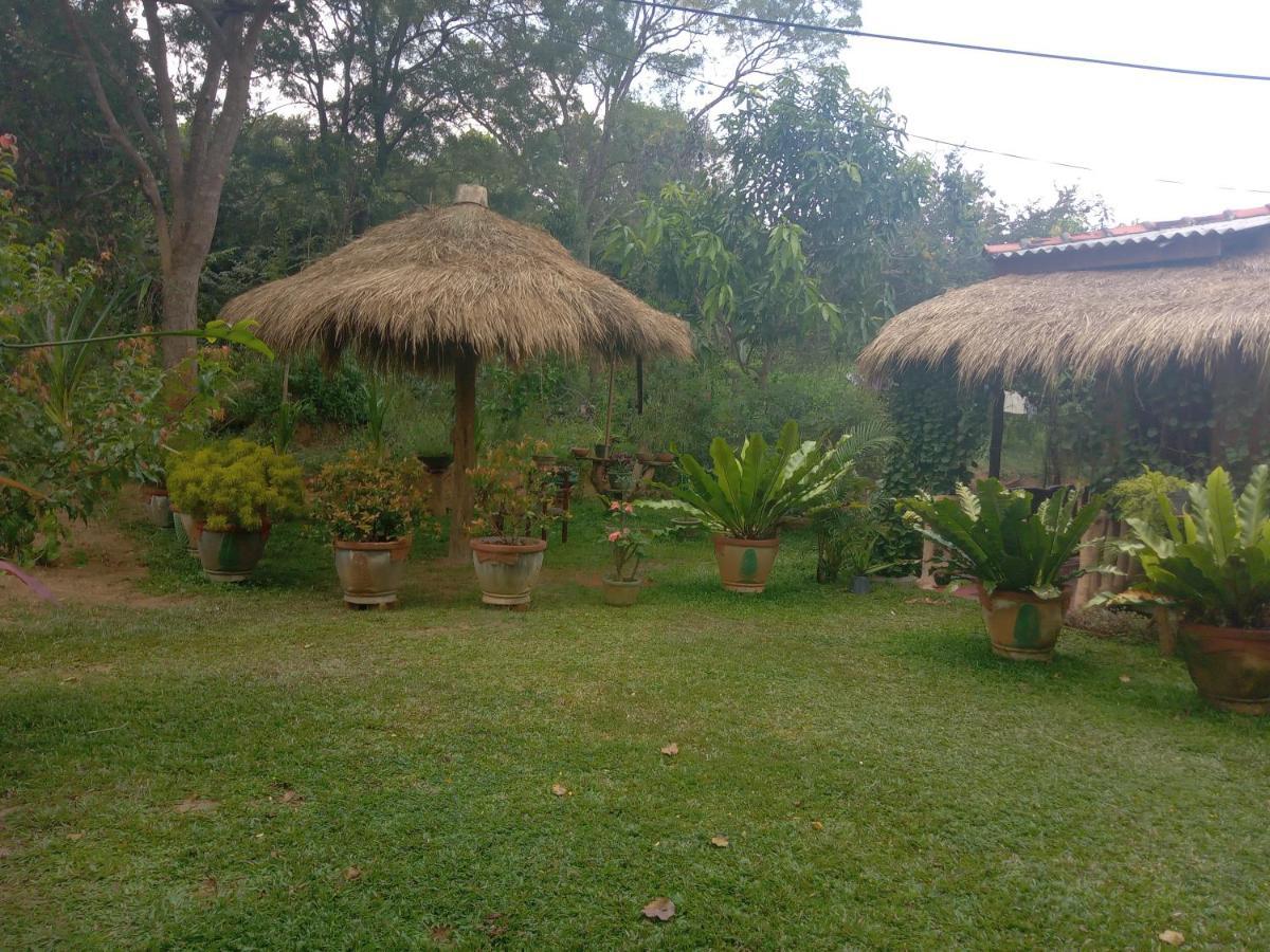 Sigiriya Nature View Home Stay Exterior photo