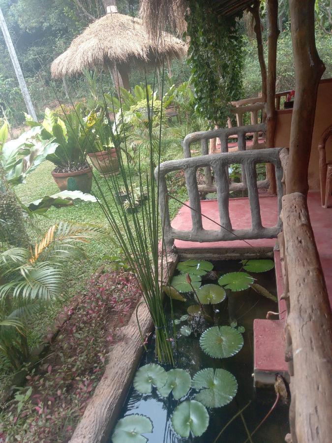 Sigiriya Nature View Home Stay Exterior photo