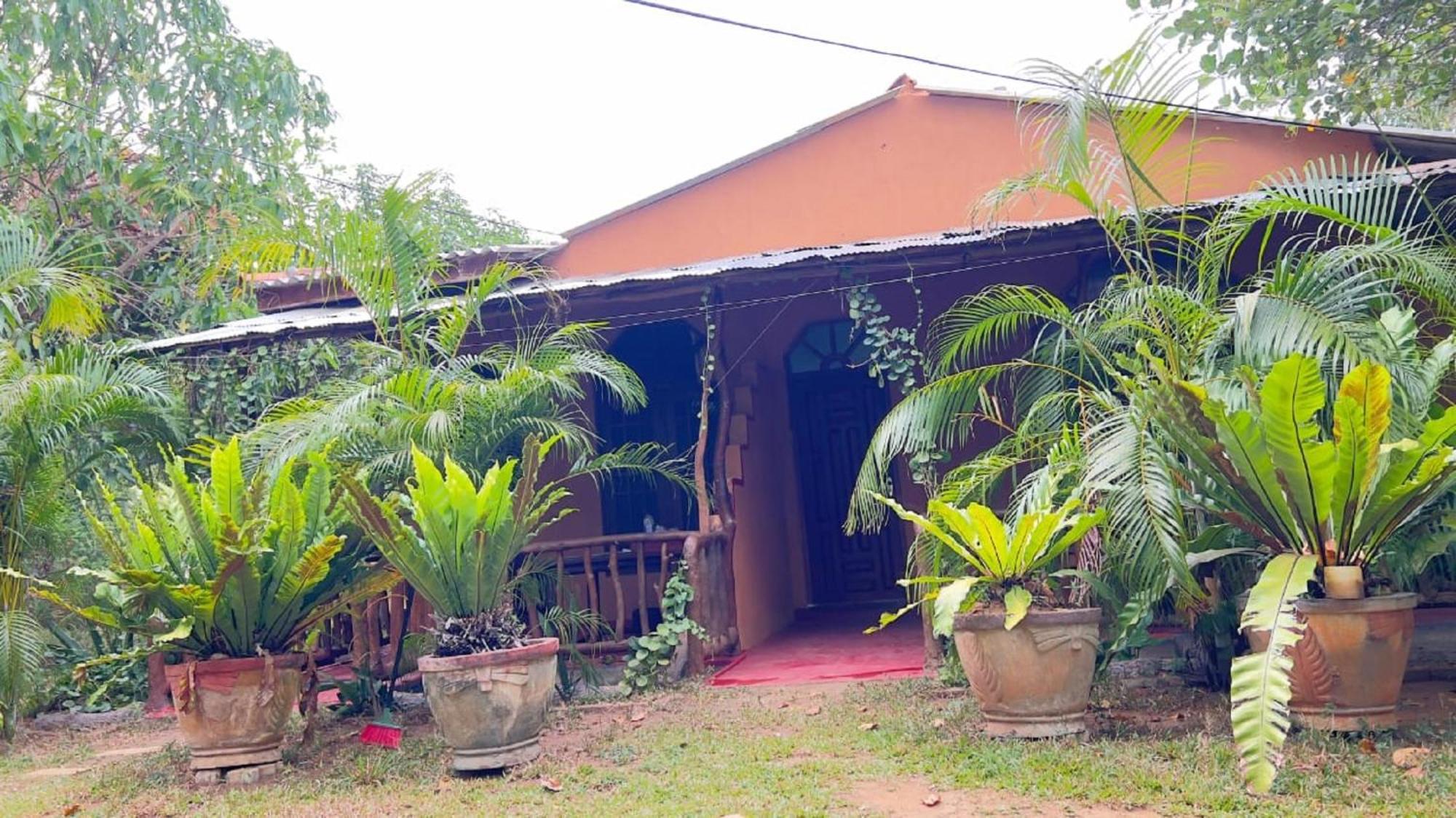 Sigiriya Nature View Home Stay Exterior photo
