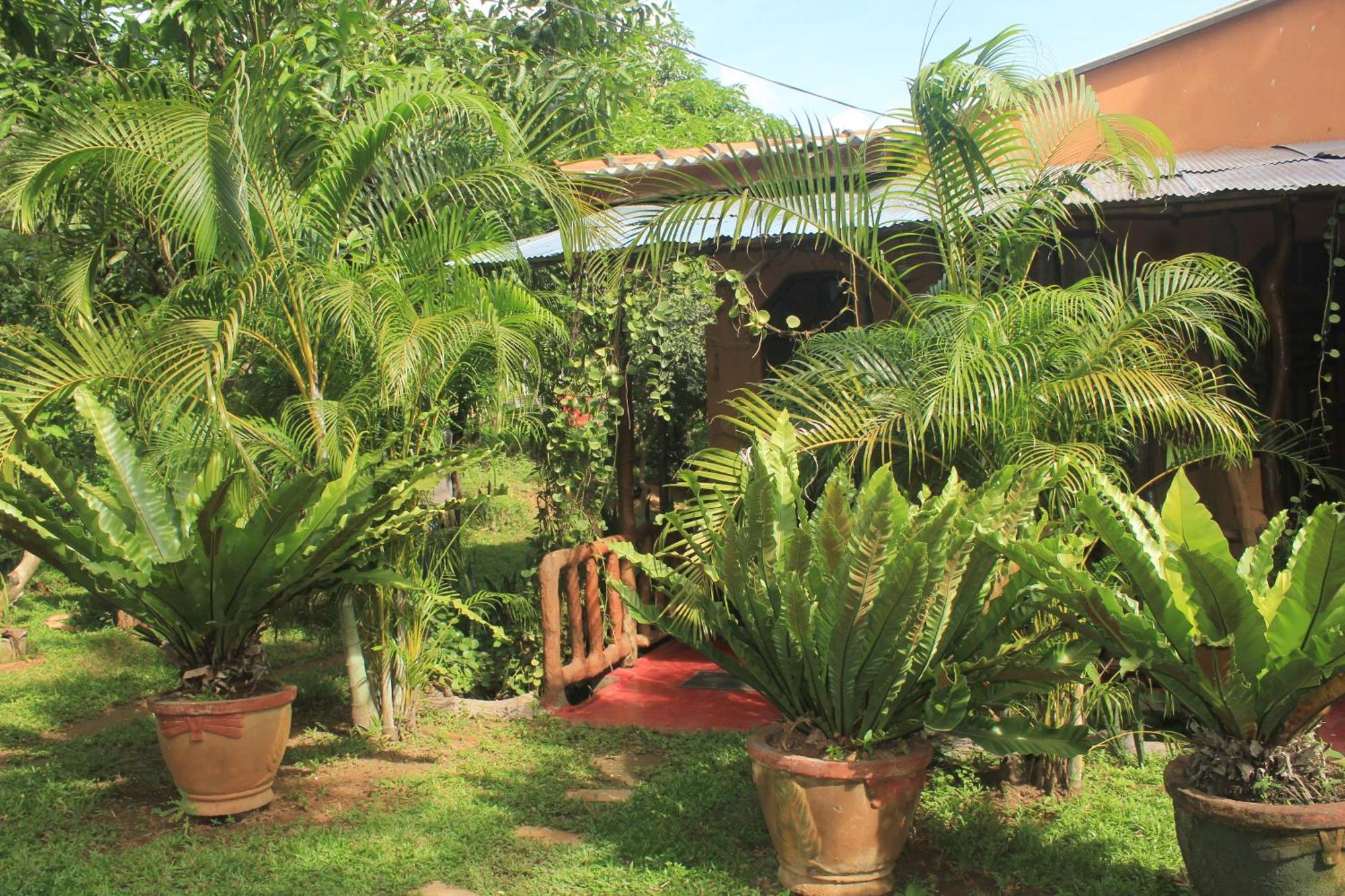 Sigiriya Nature View Home Stay Exterior photo