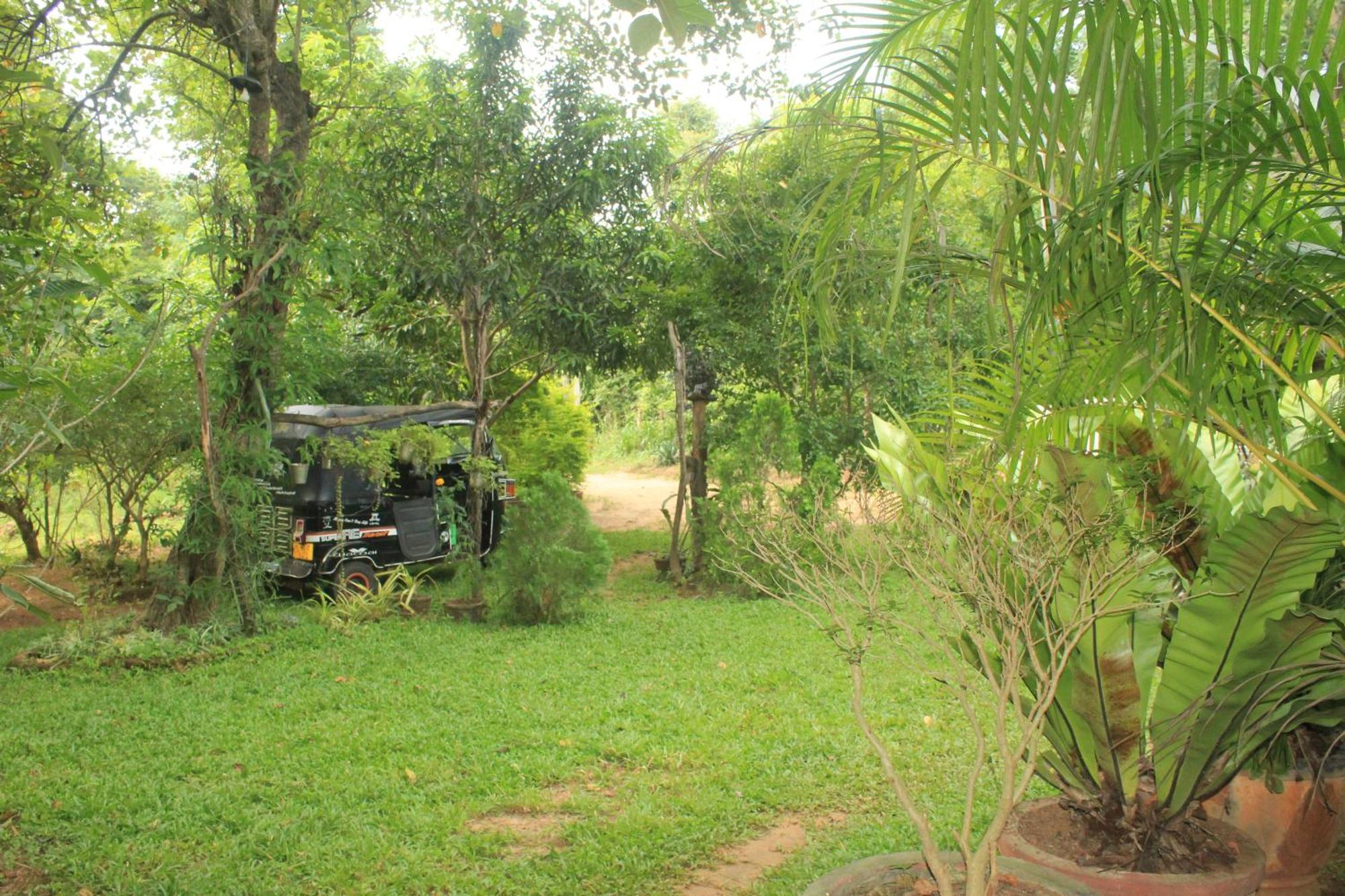 Sigiriya Nature View Home Stay Exterior photo